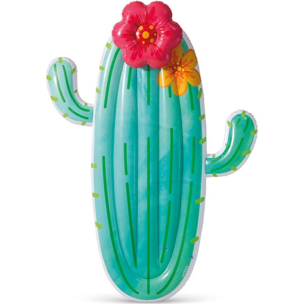 Hinchable cactus 185 x 140 cm